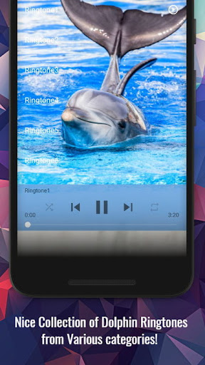 Dolphin Ringtones Screen 2