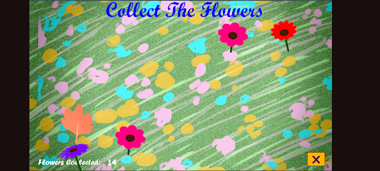 Flower Fields 2