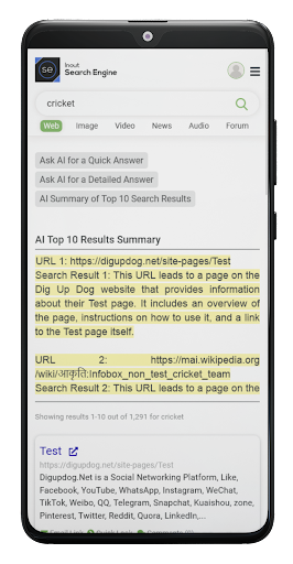 Inout Search Engine AI Edition Screen 2
