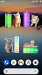 screenshot of Cat Battery widget