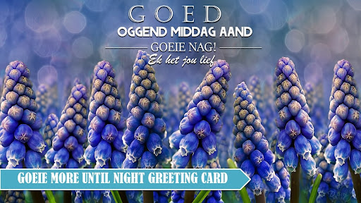 Android application Afrikaans Morning to Night screenshort