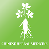 Advice chinese herbal medicine icon