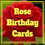 Cover Image of डाउनलोड Rose Birthday Cards (Real Rose  APK