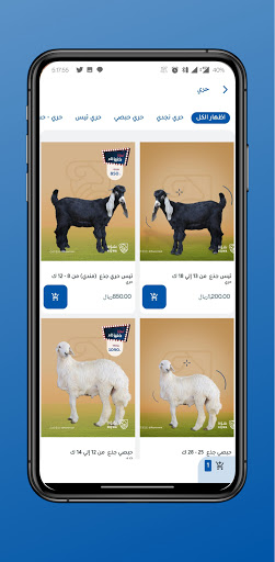 نقوة Screen 3