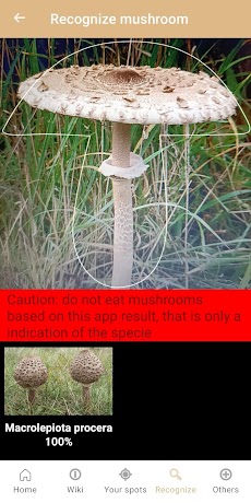 Mushroom Identificationのおすすめ画像3