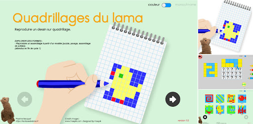 Quadrillages du lama