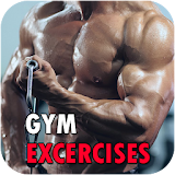 Gym Workout - Gym Exercises icon