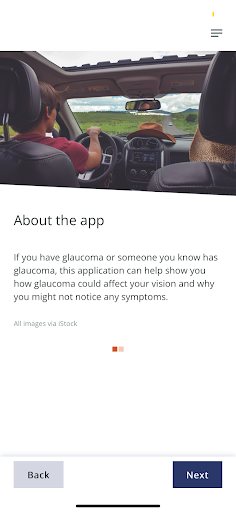 Glaucoma in Perspective CA Screen 3