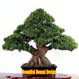 Beautiful Bonsai Design icon