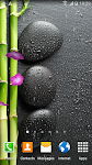 screenshot of Garden Zen Live Wallpaper