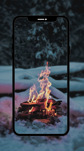 Bonfire Wallpaper
