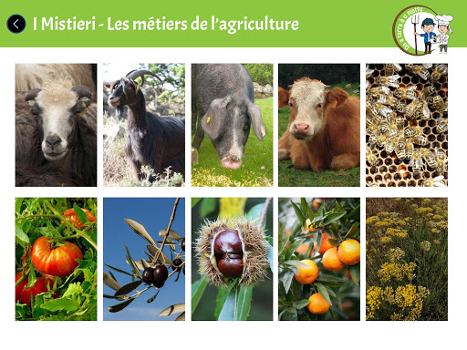 DA A TARRA À U PIATTU