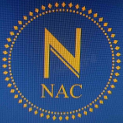 Niraj Auto CONS Repo Agency logo