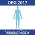 Human Anatomy Atlas 17 (Org.)2017.2.00