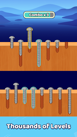 Game screenshot Screw Sorting Quest mod apk
