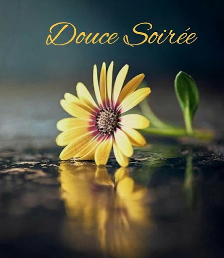 Bonjour et bonsoir salutations