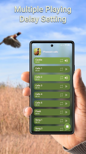 Pheasant Hunting Calls Screen 2