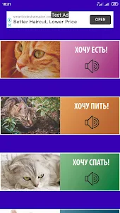 Ёшкин кот