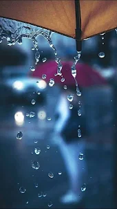 Rain Video Wallpaper
