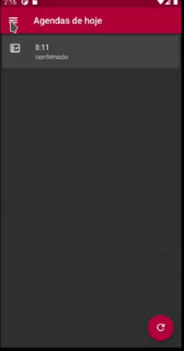 Nina Agenda Screen 2