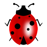 Good luck ladybug icon