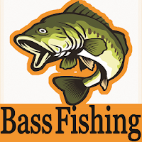 Bass Fishing Techniques & Tips & bass fishing lure