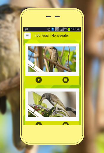 Android application Cucak Kombo screenshort