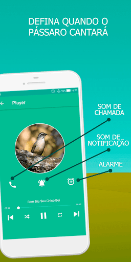 Cantos Trinca Ferro Pro Screen 2