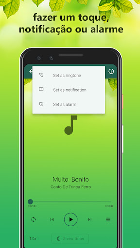 Canto De Trinca Ferro