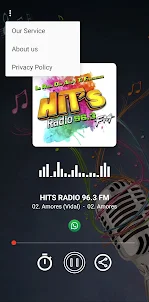HITS RADIO 96.3 FM