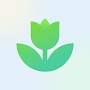 Plant App -Planteidentifikator