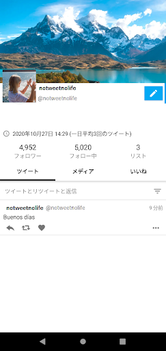 Translate and Tweet Screen 3