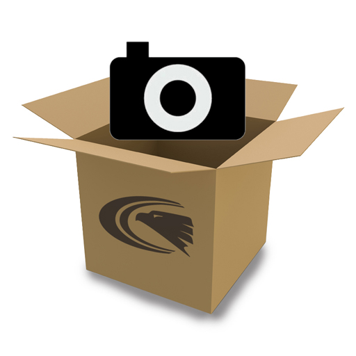 Picture Perfect Move logo
