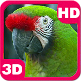 Amazing Bright Macaw Parrot icon