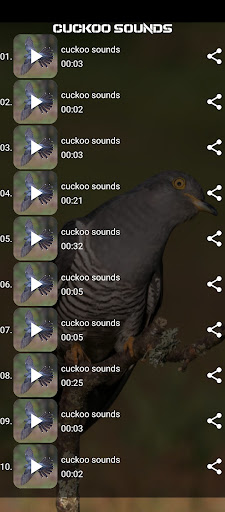 cuckoo sounds Screen 2