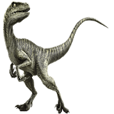 Velociraptor Widget/Stickers icon