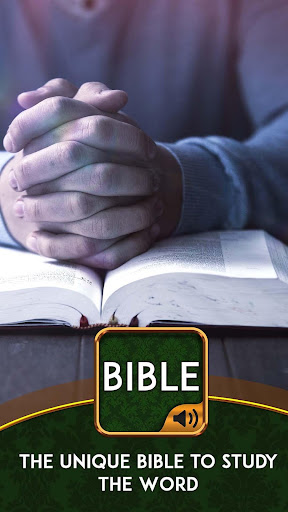 Bible commentary Screen 3