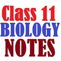Class 11 Biology Notes