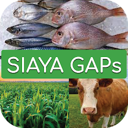 Icon image Siaya GAPs