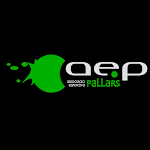 Cover Image of Download AE Pallars  APK