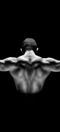 Home workout all muscles Screen 3