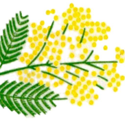 Pasticceria Mimosa logo