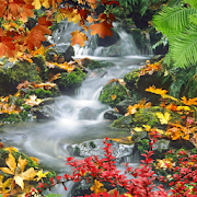 Forest, waterfall, lake  Icon