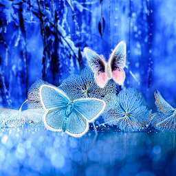 Icon image Abstract Butterflies Wallpaper