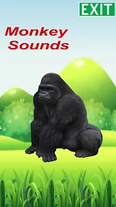 Monkey Sounds Simulator 3d