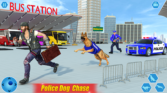 Police Dog Bus Station Crime