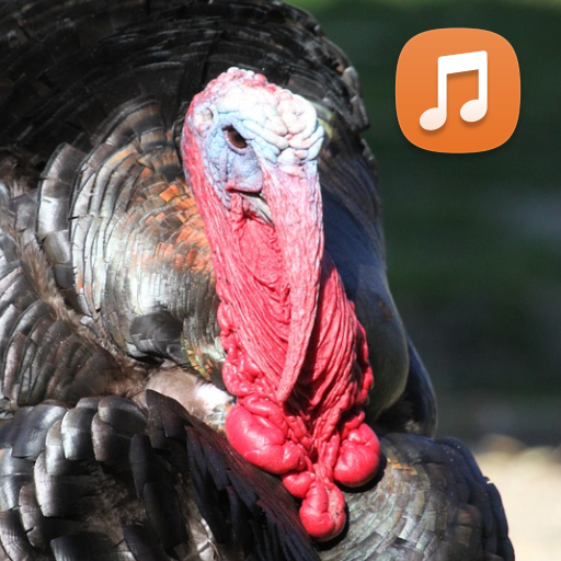 Turkey Sounds HD logo