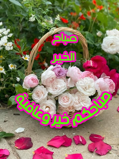 Android application 2025 GIFصور صباح ومساء الخير screenshort