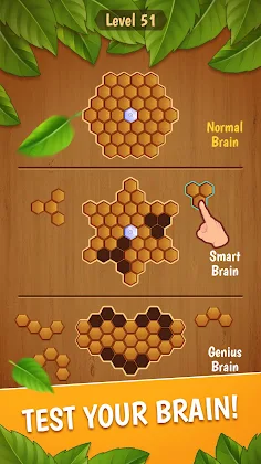 Block Hexa Classic - Screenshot 3