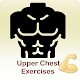 upper chest execercises Download on Windows